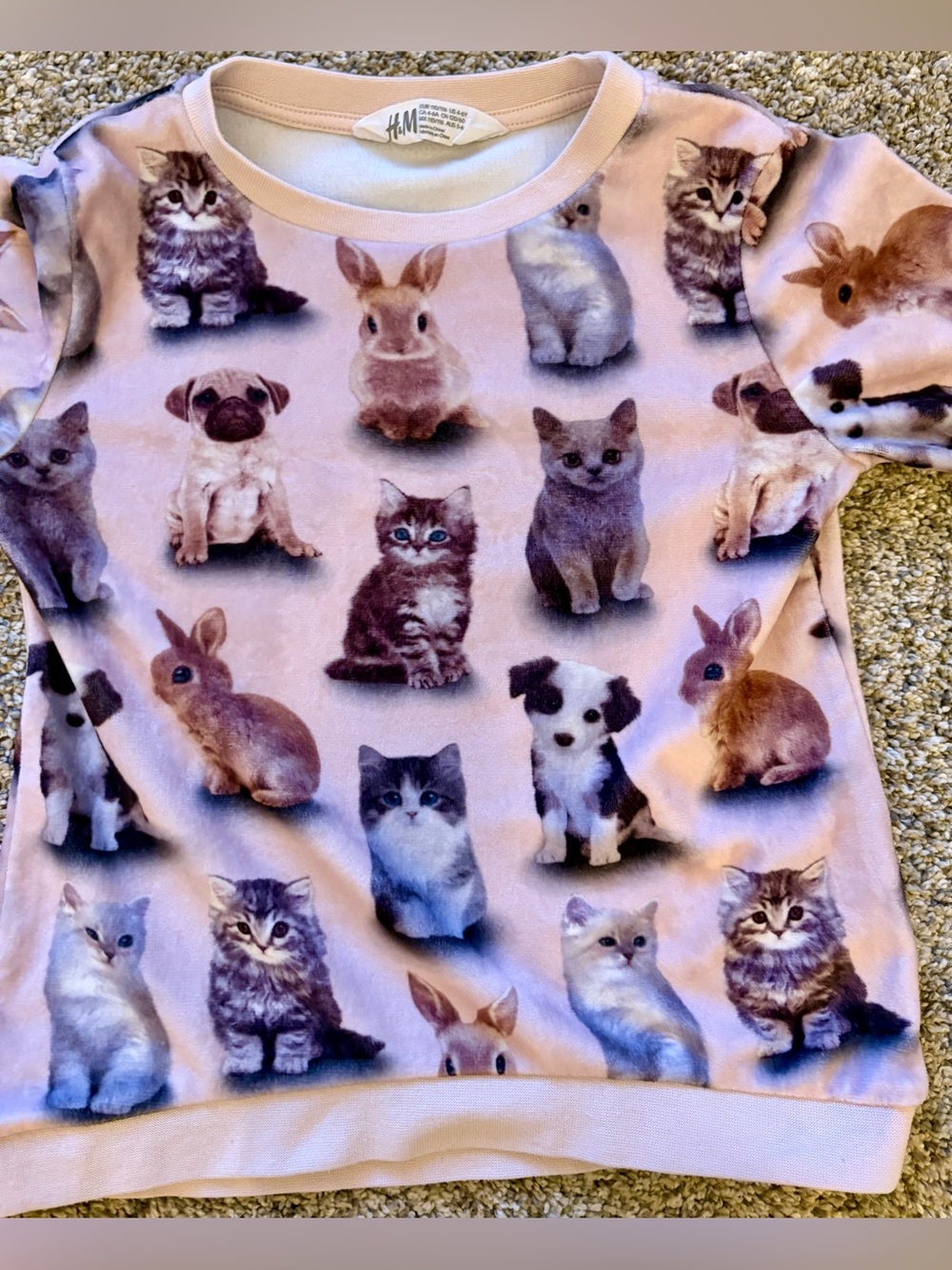 H&M Light Pink Pet Print Pullover with Kittens, Puppies & Bunnies